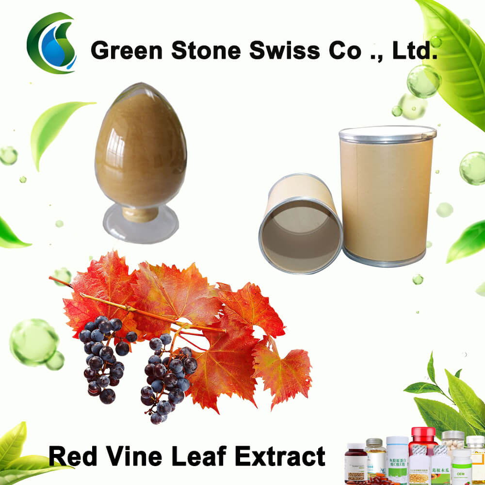 red-vine-leaf-extract-price-supply-manufacturer-from-green-stone