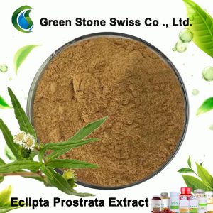 Extrato de Eclipta Prostrata