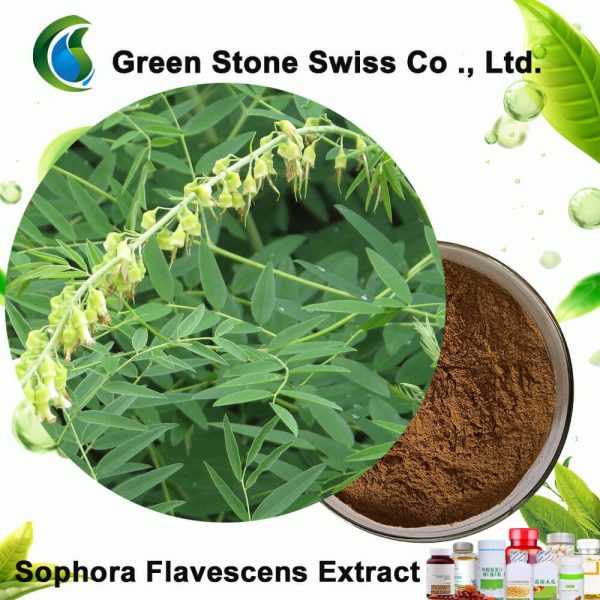 ʻO Sophora Flavescens Extract