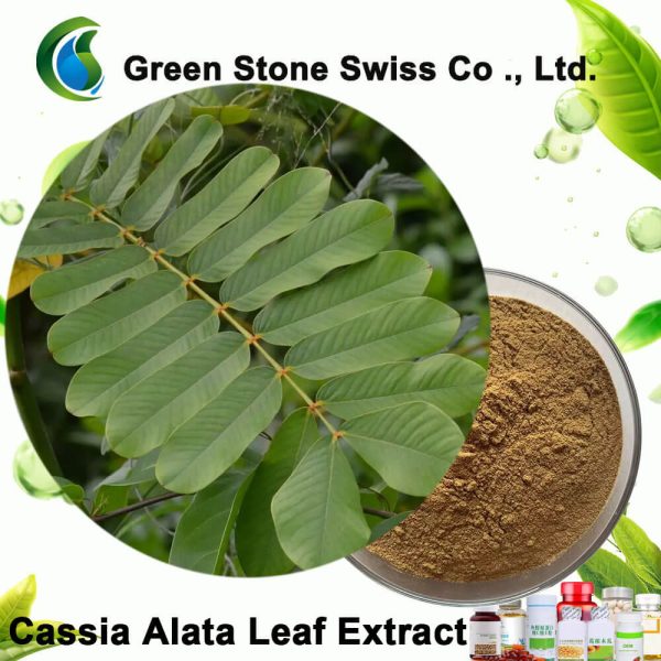 Ekstrak Daun Cassia Alata
