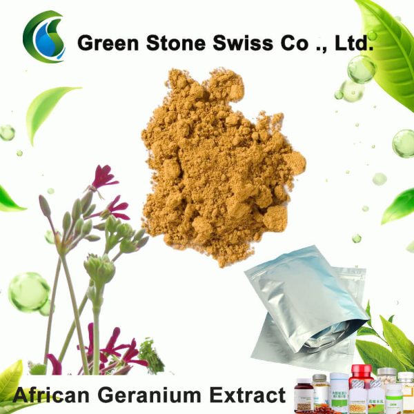 Buy African Geranium Extract - Pelargonium Sidoides Extract Price ...