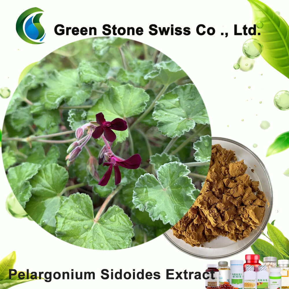 Buy African Geranium Extract - Pelargonium Sidoides Extract Price ...